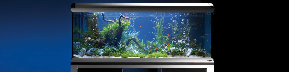 Aquarium store glass suppliers