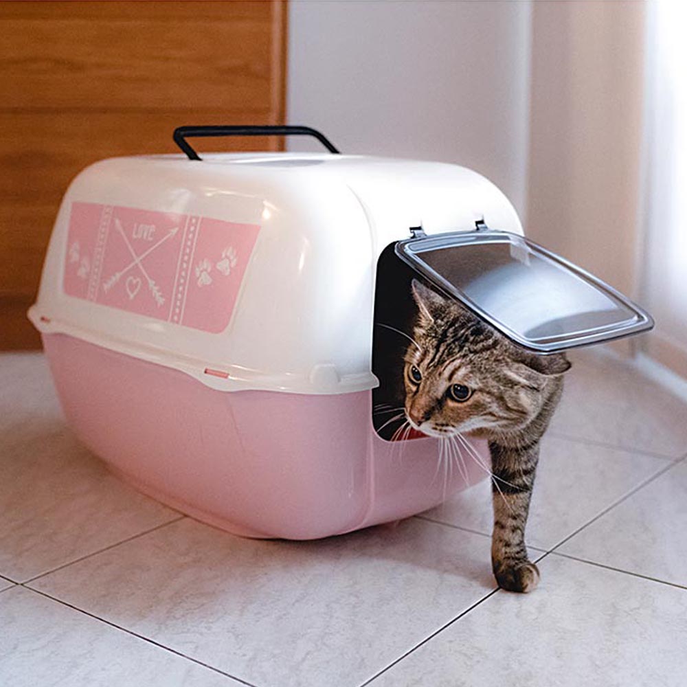 Pink litter box hotsell