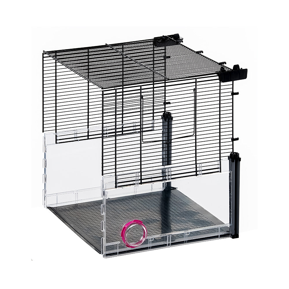 Hamster hot sale products online