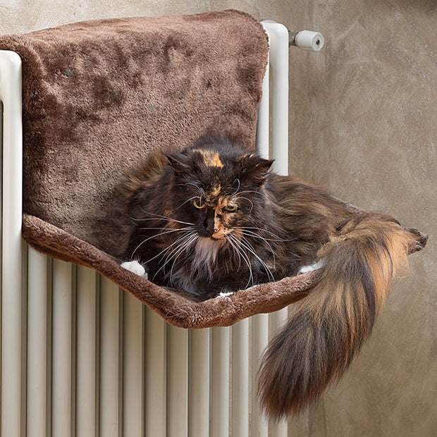 Luxury cat radiator bed best sale