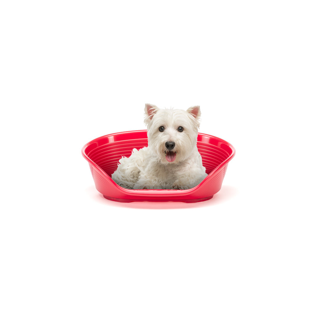 Plastic dog beds the range best sale