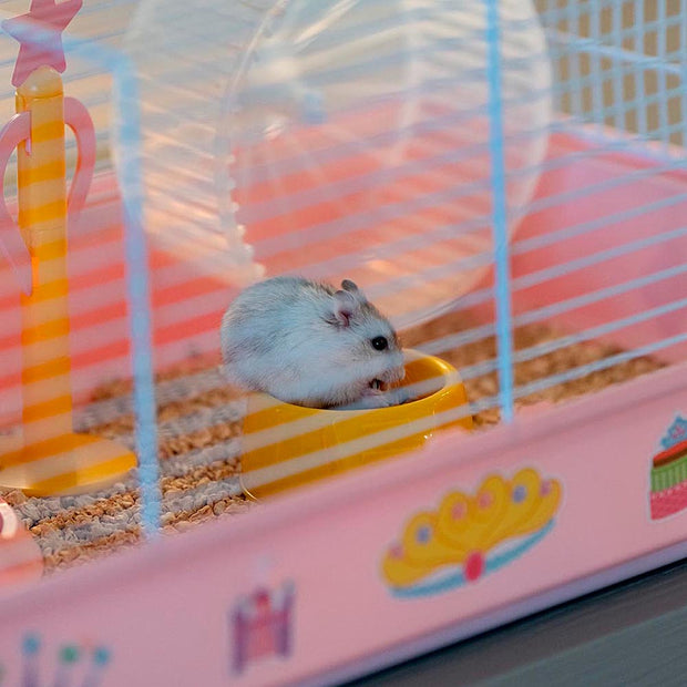 Pink princess discount hamster cage