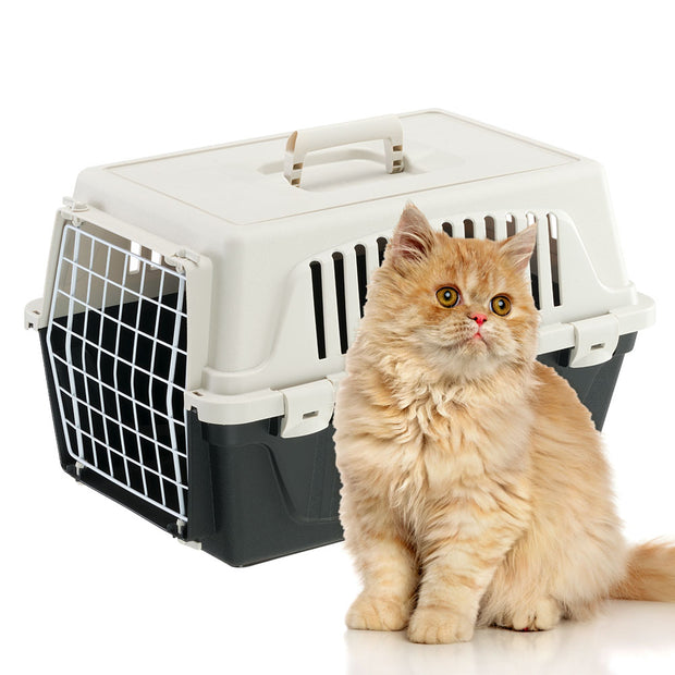 Tutto store pet carrier